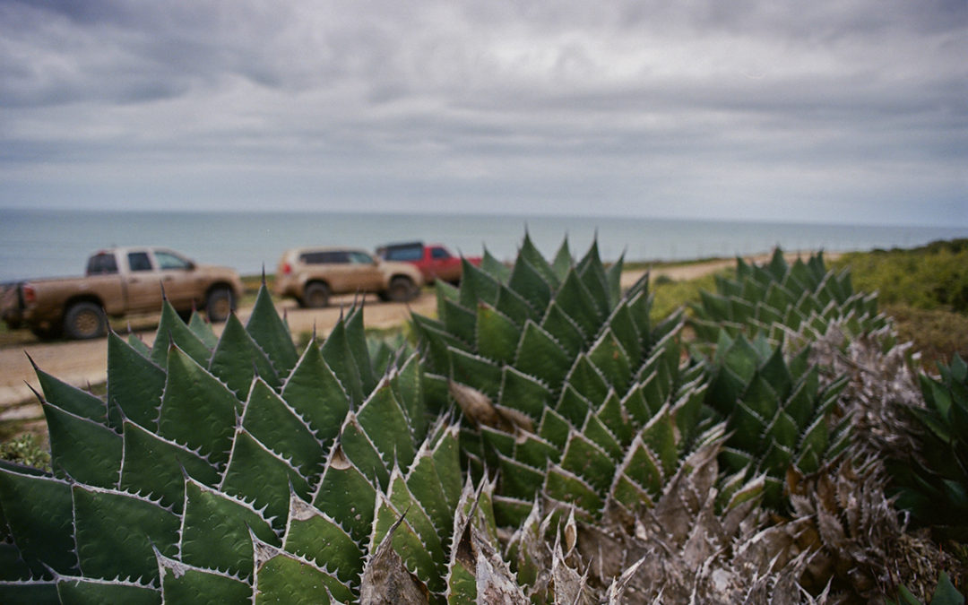 March 2020 | Baja Spring Break Trip